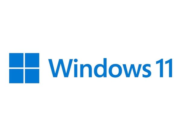 Microsoft Windows 11 Home - box-pack - 1 licens - USB-minne