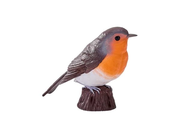 Robin