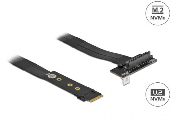 Delock - Gränssnittsadapter - U.2 NVMe - M.2 Card