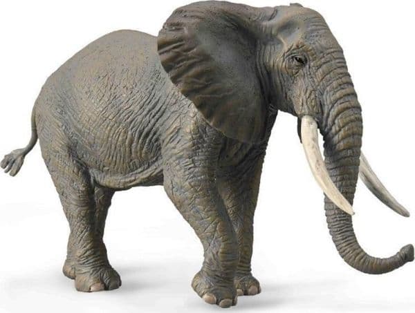 Collecta figur COLLECTA SLON AFRYKANSKI