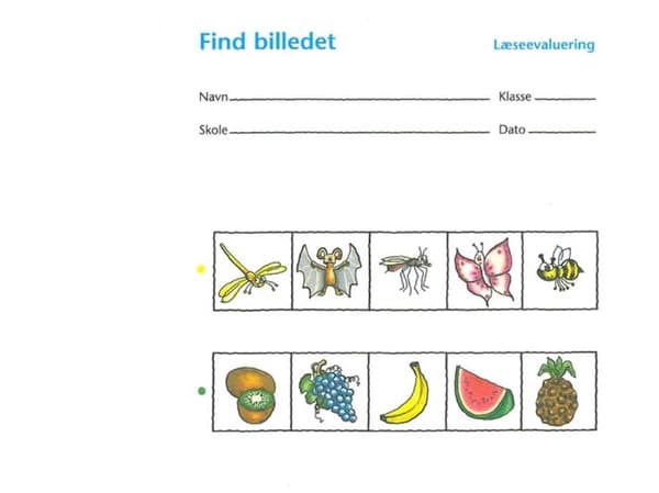 Läsutvärdering, hitta bilden á 10 st. | Språk: Danska