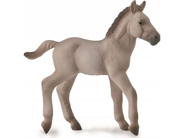 Kokoelma KONIK FOAL - BLUE DUN