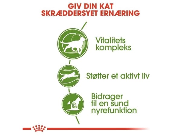 Royal Canin Outdoor 7+ Ageing tørfoder til kat - 4 kg