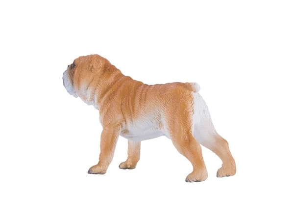 Mojo engelsk bulldogg