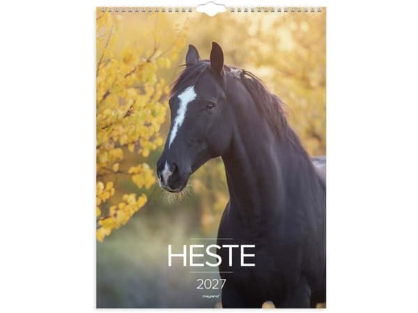 Väggkalender Hästar 2027