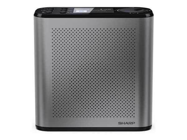 Sharp Osaka DR-P530 - Bärbar DAB-radio - inget operativsystem - åskmolnsgrå