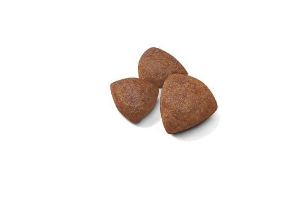 Royal Canin Medium Starter tørfoder til hund og hvalp - 15 kg