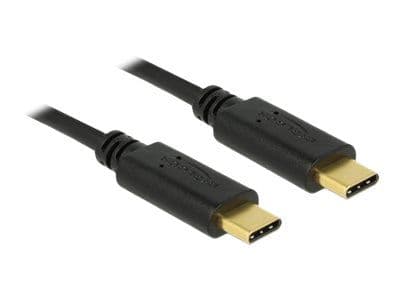 Delock - USB-kaapeli - USB-C (han) til USB-C (han) - USB 2.0 - 5 A - 2 m - lajiteltu
