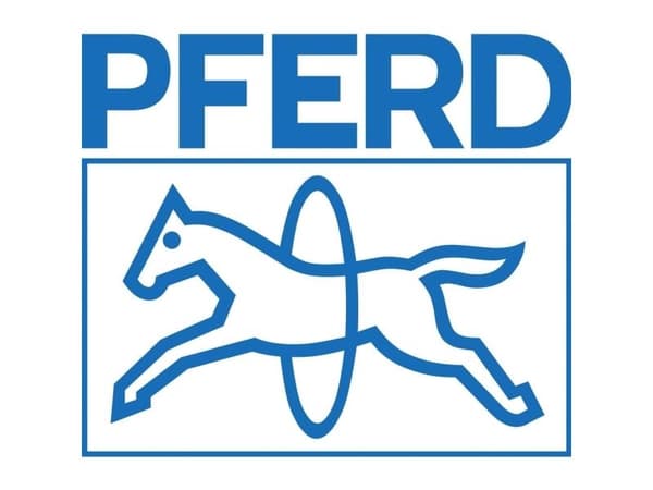 PFERD 25203553, Borr, 10 styck