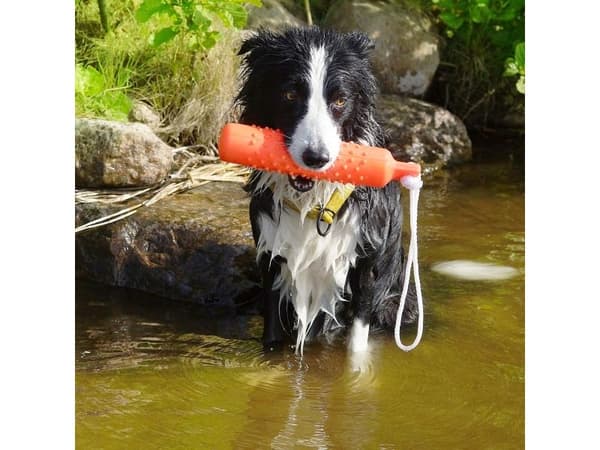 DOGMAN Gummidummies stor 28 cm