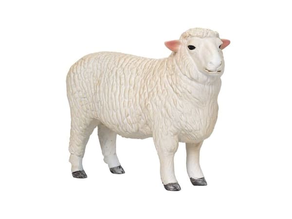 Mojo Romney-lammas (pässi)