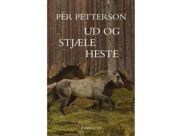 Ud og stjæle heste | Per Petterson