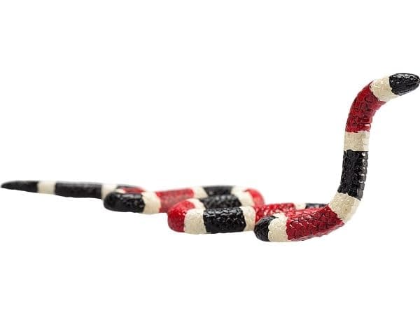 Mojo Coral Snake