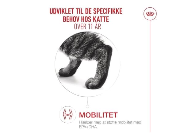 Royal Canin Ageing 11+ stykker i sovs vådfoder til kat - 12x85 g