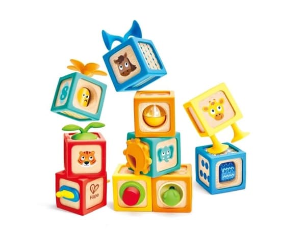 Hape Delightful Discovery Blocks