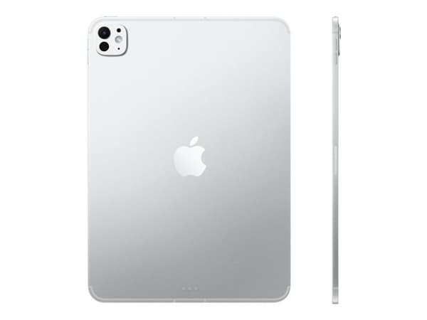 IPAD PRO 11 WIFI 2TB SLNT
