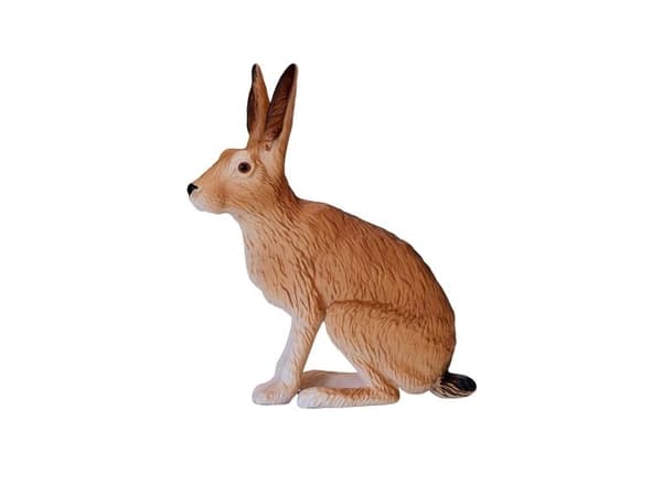 Mojo Hare, istuva