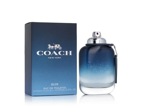 Coach Blue Eau De Toilette 100 ml (man)