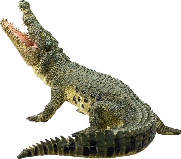 Mojo krokotiili