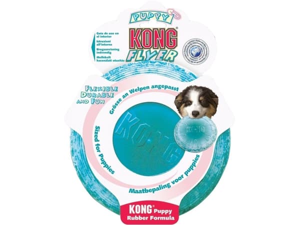 KONG Kong pentu flyer (freesbee)