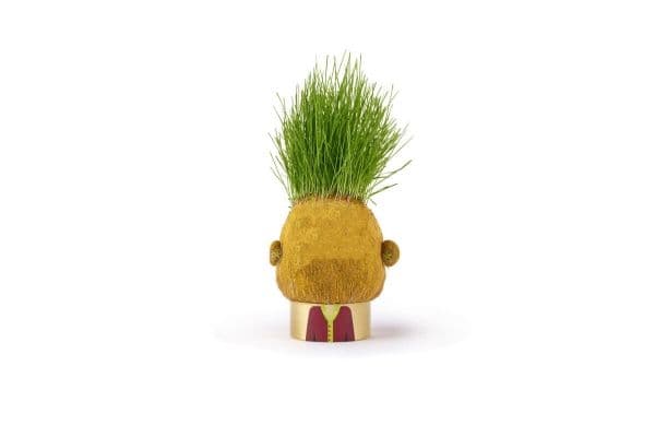 Hape Plant Pals (1 pcs) - Assorted