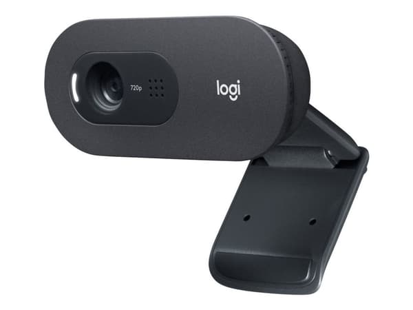 Logitech C505 - Nettkamera - farge - 720p - fastfokal - lyd - USB