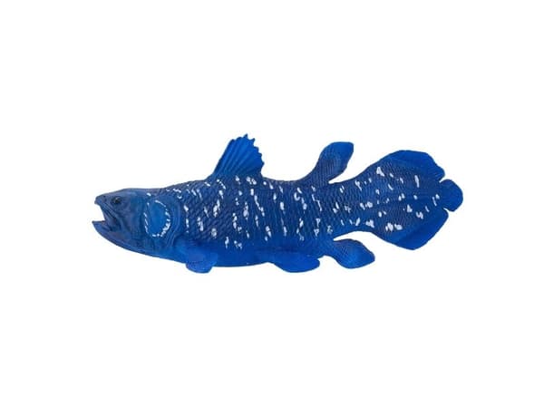 Mojo Coelacanths fisk