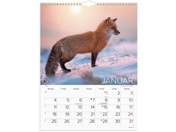 Väggkalender Världens djur 2027