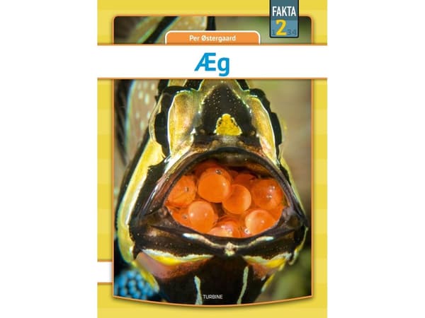 Egg | Per Østergaard | Språk: Dansk