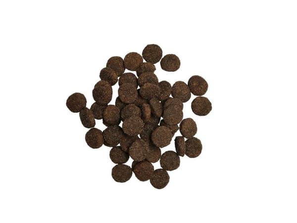 Harmony Adult Lamb spannmålsfritt hundfoder 15kg