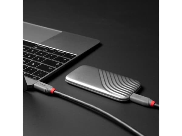 LINDY 2.0m USB4 240W Typ C Kabel, 40Gbit/s, Anthra Line