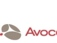 Avocent Server Interface Module - Video/USB-laajennin - AutoView AV3108, AV3216 -laitteille