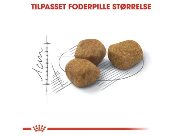 Royal Canin Indoor 7+ Ageing tørfoder til kat - 3.5 kg