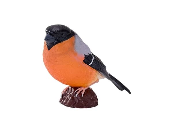 Bändelörn