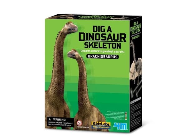 4M barnelaboratorium: brachiosaurus-skjelett