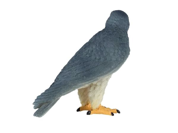 Mojo pilgrimsfalk