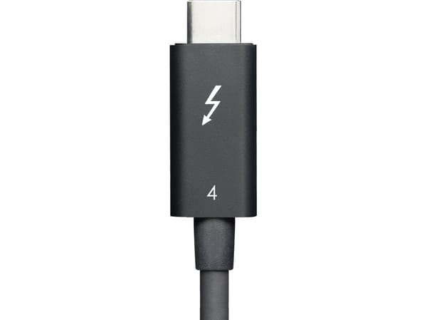 LINTES TAA200-E60 - Thunderbolt-kabel - USB-C (hann) til USB-C (hann) - Thunderbolt 4 - 2 m - aktiv
