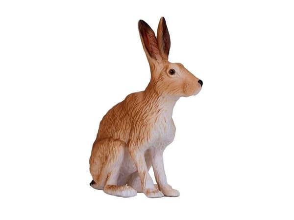Mojo Hare, Siddende