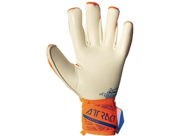 Reusch Attrakt Gold X Freegel