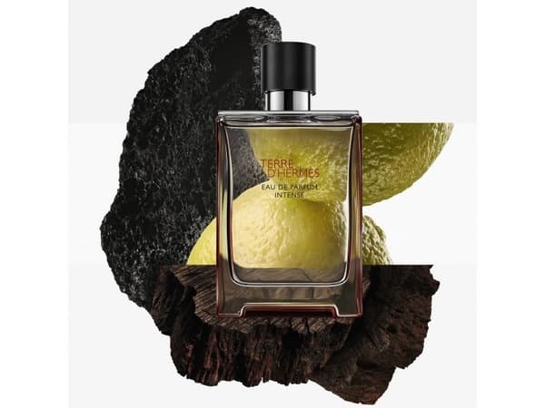 Hermès Terre d'Hermès Intense Eau De Parfum Intense Refill 200 ml (man)