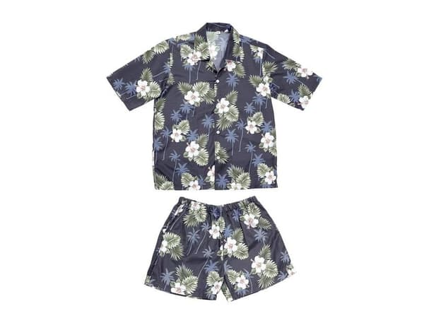 Hawaiiskjorta och shorts