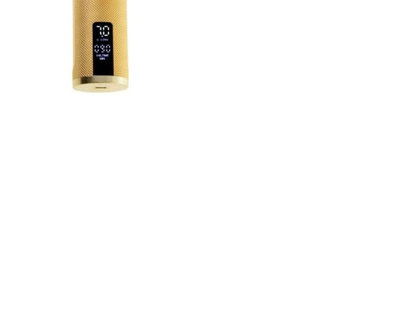 Camry CR 2835G guld