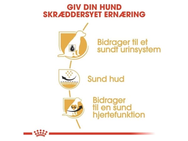 Royal Canin Dalmatian Adult tørfoder til hund - 12 kg
