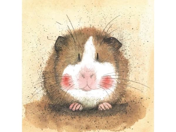 Carnet AC412 Guinea Pig Gilbert presentkort