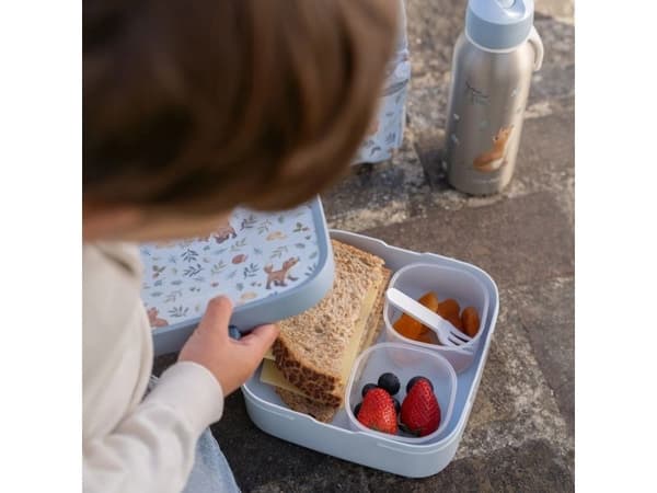 Little Dutch snacklåda stor till skogsvännerna