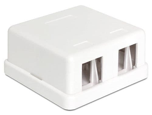 Delock Keystone Surface Mounted Box - Chassi med modulär insättning - vit - 2 portar