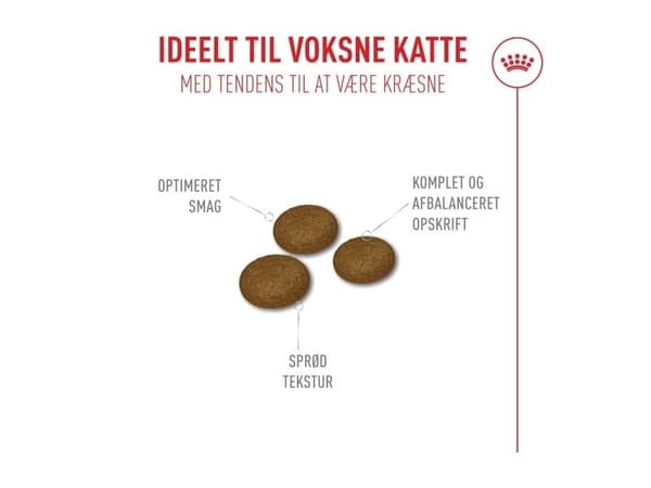 Royal Canin Fussy tørfoder til kat - 4 kg