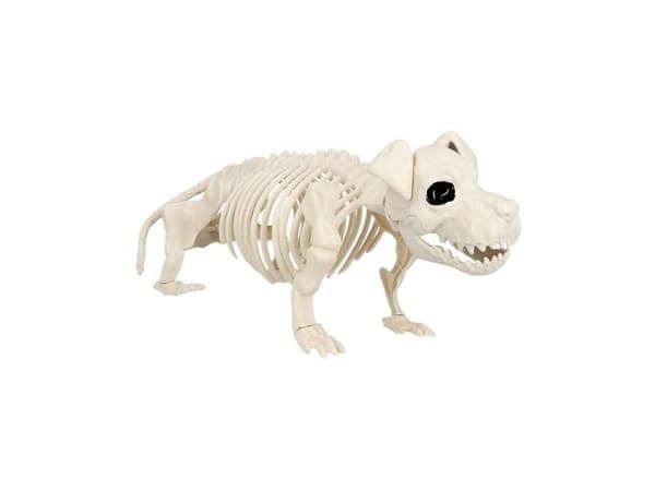 Hundeskelet, 52 cm