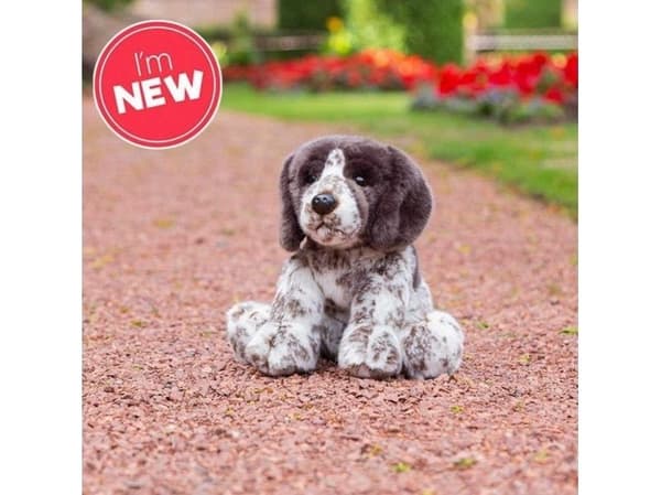Pentu Pointer