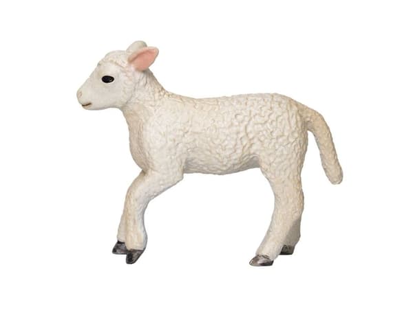 Mojo Romney-lamm